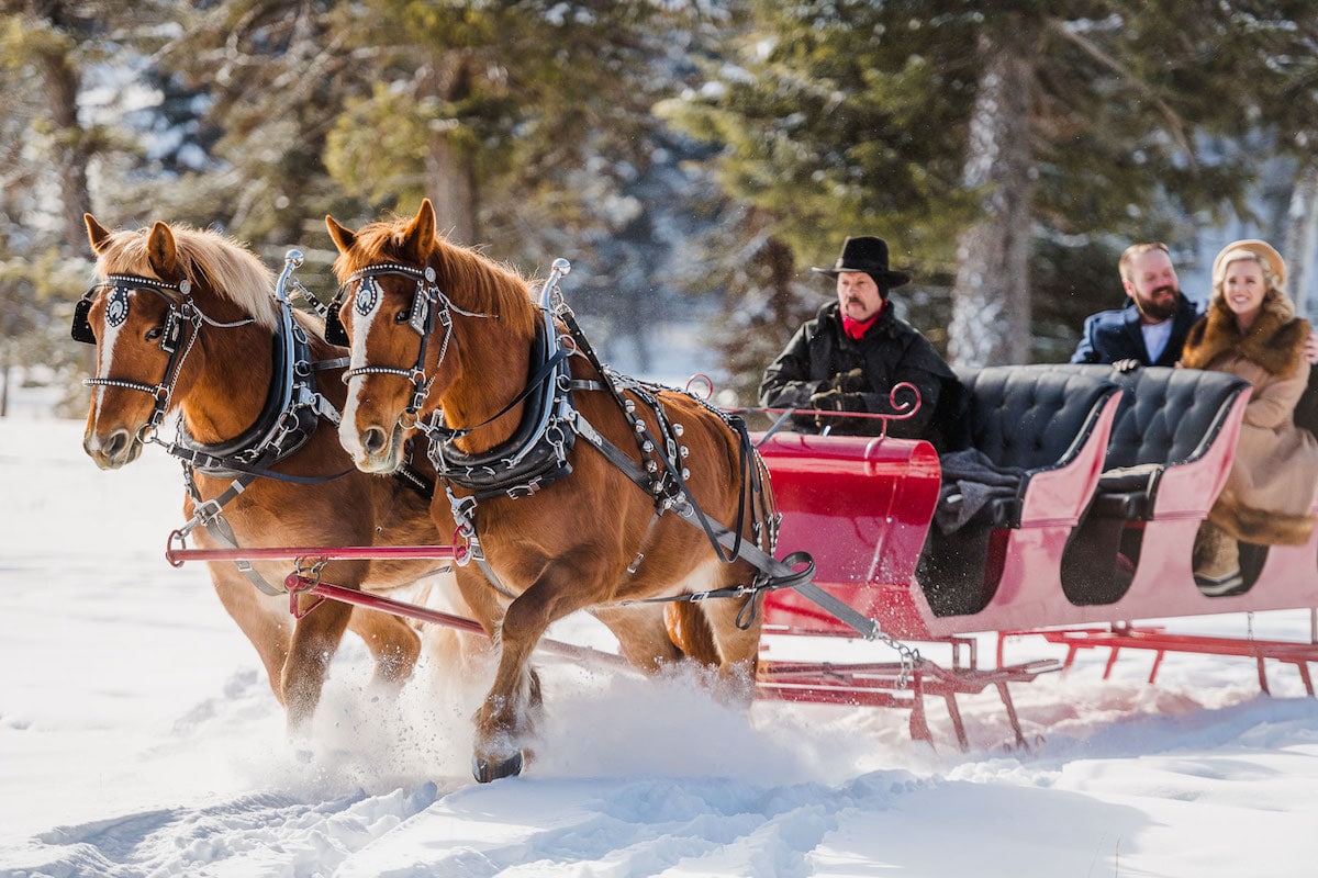 horse sleigh rides whitefish kalispell somers bigfork montana